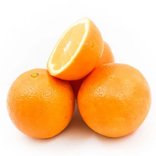 Orange fruit seeds for organic garden planting