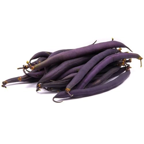 Purple Bean vegetable seeds vegetable seeds for Home Gardening, Easy Grow Farm Fresh Produce for kitchen garden planting