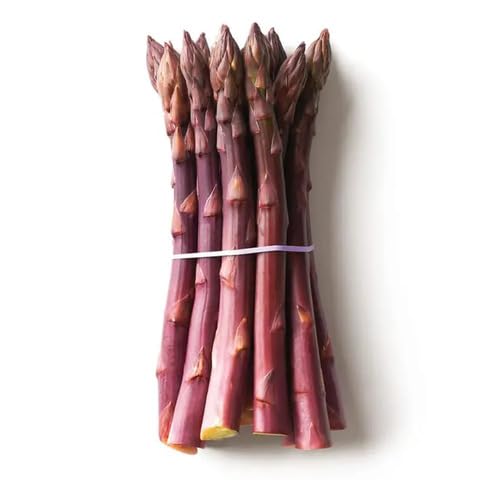 Purple Asparagus vegetable seeds vegetable seeds for Home Gardening, Heirloom, Non-GMO, High for kitchen garden planting