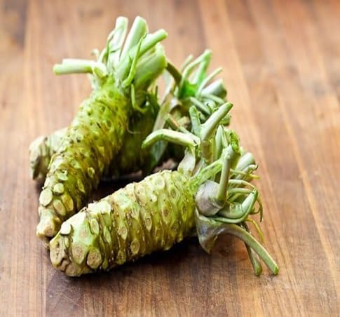 Wasabi vegetable seeds for Home Gardening, Fast Growing Home Garden Variety Premium for kitchen garden planting