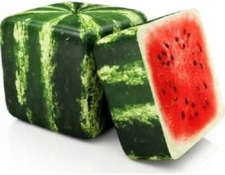 square watermelon fruit for planting heirloom Fruit Seeds