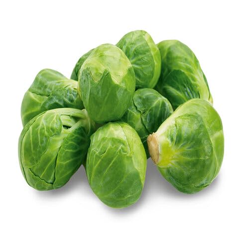 Green Brussels vegetable seeds for Home Gardening, Organic Raised Bed Garden Favorite for kitchen garden planting
