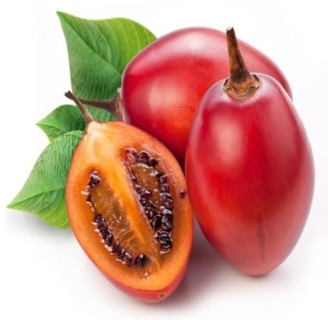 Red Tamarillo fruit seeds for organic garden planting