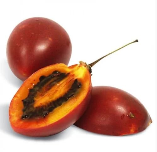 Tamarillo vegetable seeds - Heirloom, Organic, Non Gmo Garden Seeds for kitchen garden planting