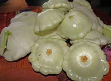 new fresh green tint scallop fruit exotic fruits for your backyard Fruit seeds