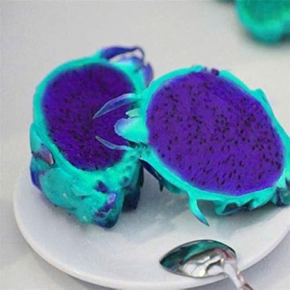 Pitaya Fruit Sky Blue Variety Beautiful Gardens For Backyard Fruit Seeds
