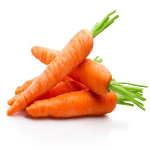 Orange Carrot Vegetable Seeds Heirloom, Non-GMO for Home Garden Planting
