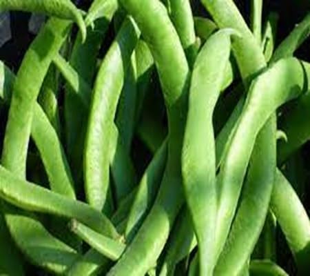 Bean vegetable seeds - Heirloom, Organic, Non Gmo Garden Seeds for kitchen garden planting