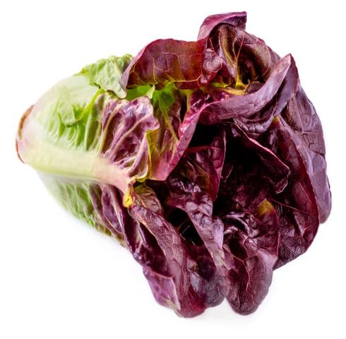 Red Lettuce vegetable seeds - Heirloom, Organic, Non Gmo Garden Seeds for kitchen garden planting