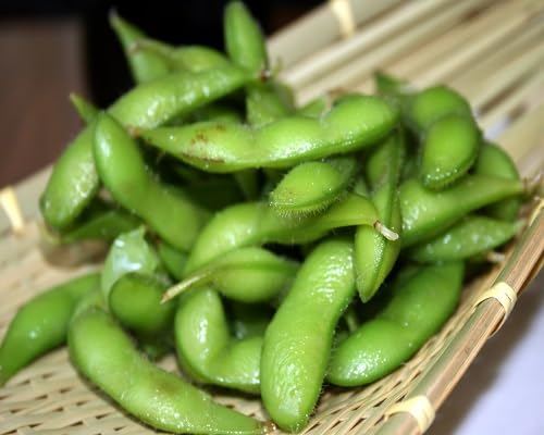 Green Edamame . vegetable seeds - Heirloom, Organic, Non Gmo Garden Seeds for kitchen garden planting