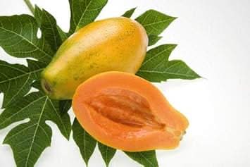 Papaya Fruit Exotic And Colorful Enthusiasts For Backyard Fruit Seeds