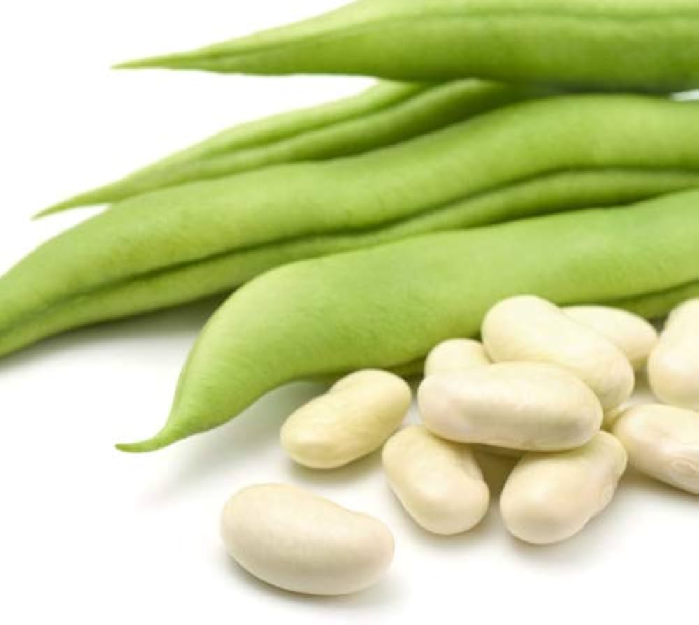 bean vegetable patch Fruit Seeds