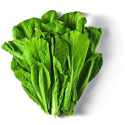 Green Mustard Vegetables Seeds vegetable seeds - Heirloom, Organic, Non Gmo Garden Seeds for kitchen garden planting