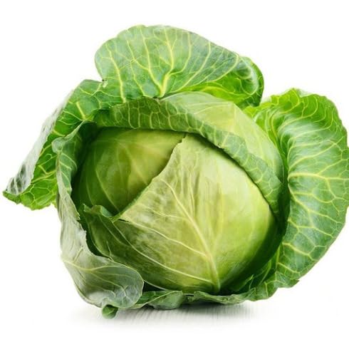 Green Brassica vegetable seeds for Home Gardening, Nutritious Backyard Harvest Collection for kitchen garden planting