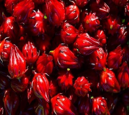 hibiscus rosella flower seeds