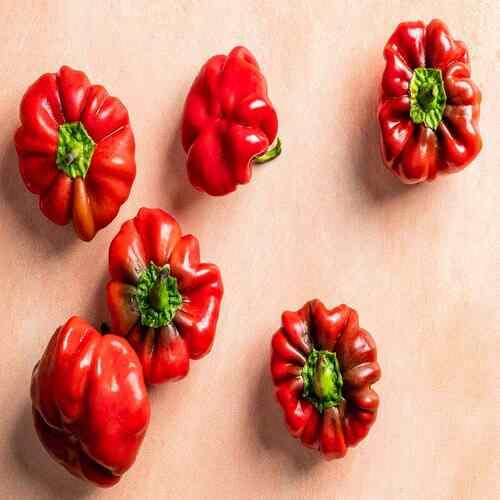 Pimento vegetable seeds - Heirloom, Organic, Non Gmo Garden Seeds for kitchen garden planting
