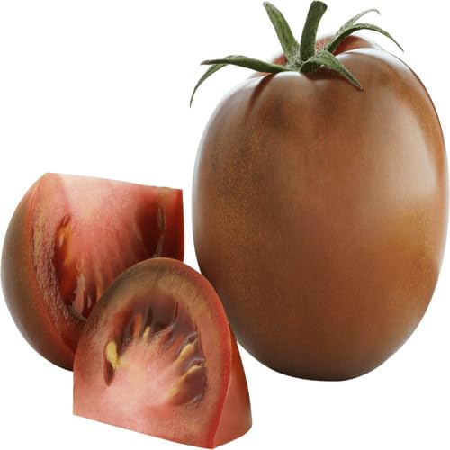 Brown Tomato vegetable seeds for Home Gardening, Organic Raised Bed Garden Favorite for kitchen garden planting