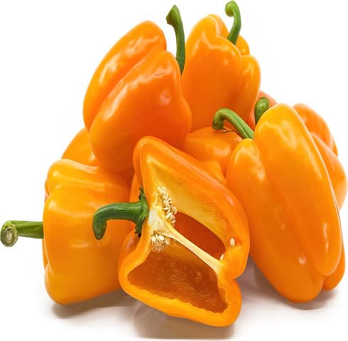Orange Capsicum vegetable seeds for Home Gardening, Easy Grow Culinary Garden Selection for kitchen garden planting