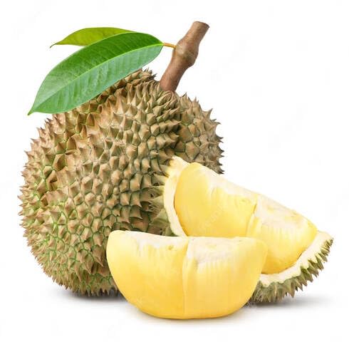 Yellow Durian fruit seeds for organic garden planting