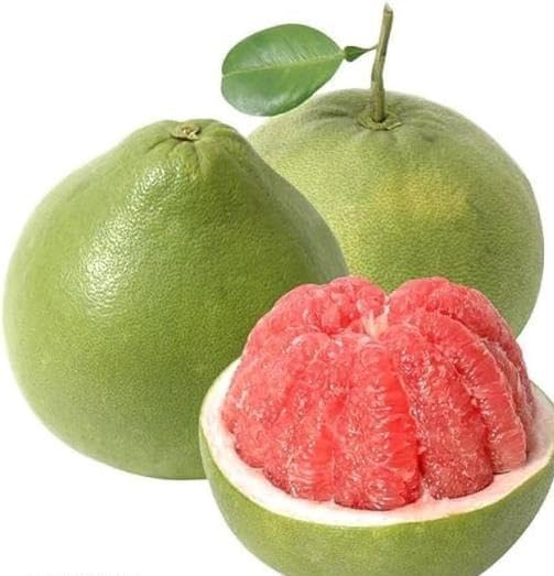 Green Pomello fruit seeds for organic garden planting
