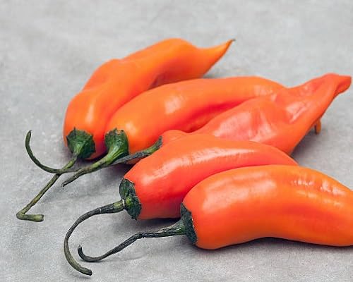 Orange Pepper Peach Vegetables Seeds vegetable seeds - Heirloom, Organic, Non Gmo Garden Seeds for kitchen garden planting