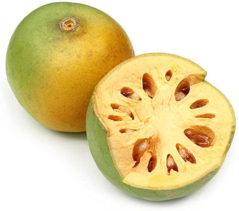 aegle marmelos fruit for planting perfect citrus lovers gmo free heirloom Fruit seeds