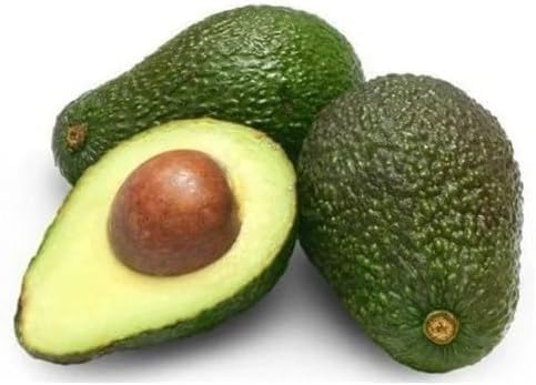 Green Avocado fruit seeds for organic garden planting