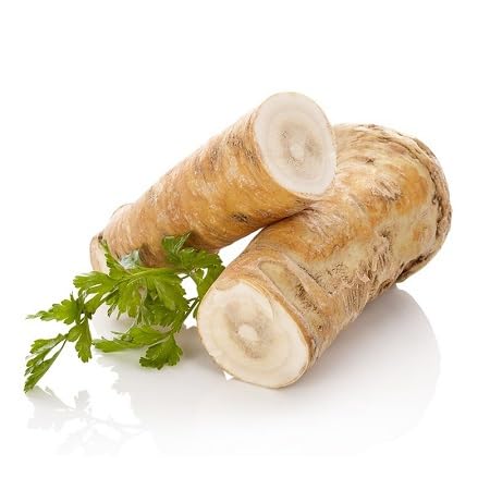 Horseradish vegetable seeds for Home Gardening, Fast Growing Home Garden Variety Premium for kitchen garden planting