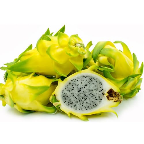 Dragon Yellow fruit seeds for organic garden planting