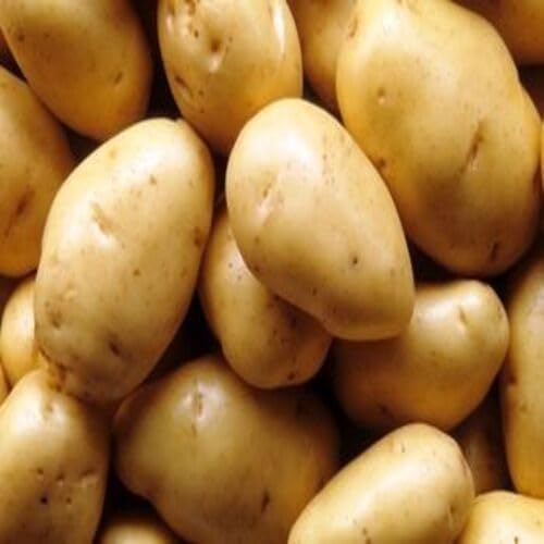 Light Brown Potato vegetable seeds for Home Gardening, Organic Raised Bed Garden Favorite for kitchen garden planting