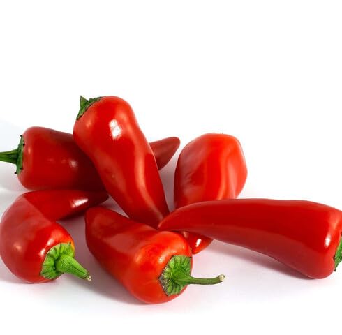 red Chili Vegetables vegetable seeds for Home Gardening, Nutritious Backyard Harvest for kitchen garden planting