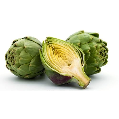 Green Artichoke vegetable seeds for Home Gardening, Fast Growing Home Garden Variety for kitchen garden planting