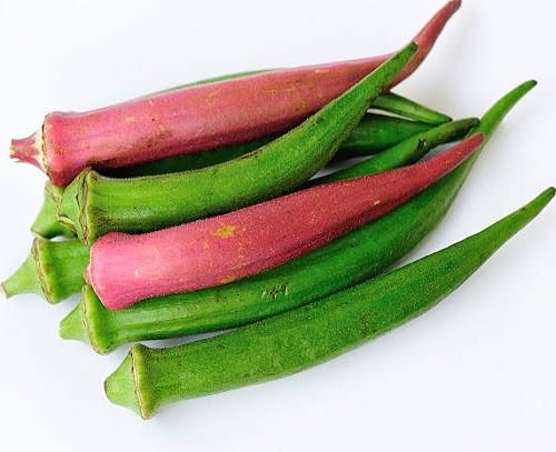 Mixed Okra vegetable seeds for Home Gardening, Organic Raised Bed Garden Favorite Premium for kitchen garden planting