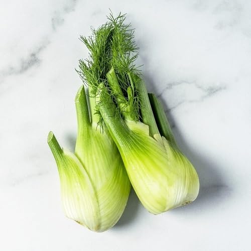 Green Fennel Vegetables Seeds vegetable seeds - Heirloom, Organic, Non Gmo Garden Seeds for kitchen garden planting