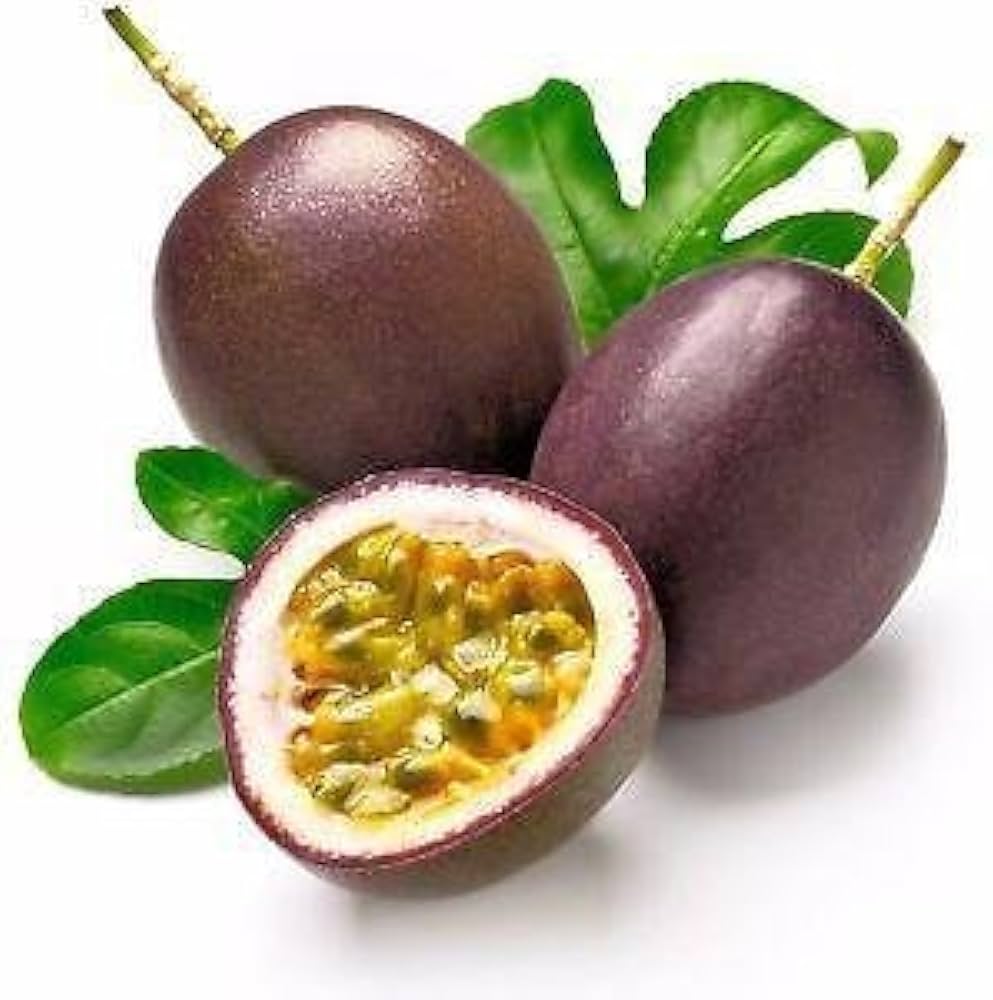 fruit mixed species sweet ideal edible seeds