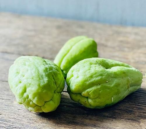 Green Chayote ,green vegetable seeds - Heirloom, Organic, Non Gmo Garden Seeds for kitchen garden planting