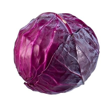 Red Cabbage vegetable seeds for Home Gardening, Easy Grow Culinary Garden Selection for kitchen garden planting
