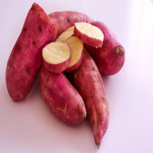 red Batata vegetable seeds for Home Gardening, Natural Farm Fresh Gardening Choice for kitchen garden planting