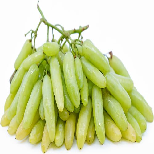 Finger Grape Fruit fruit seeds for organic garden planting