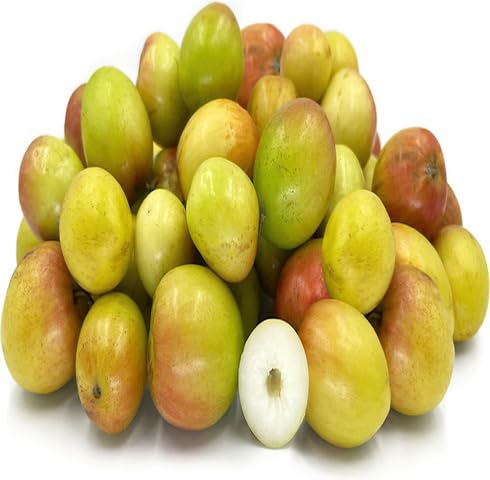 Green Brown JUJUBE Fruit Seeds Fruit Seeds for Fruit