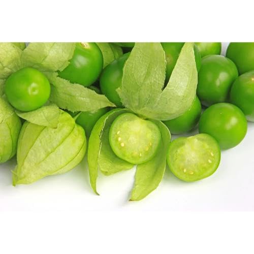 Green Tomatillo vegetable seeds for Home Gardening, Fast Growing Home Garden Variety for kitchen garden planting