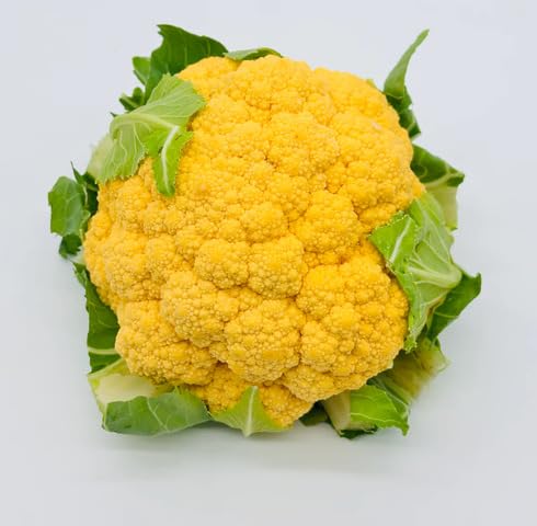 Yellow califlower vegetable seeds vegetable seeds for Home Gardening, Organic Raised Bed Gardening for kitchen garden planting