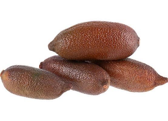 Brown Finger Lime Fruit fruit seeds for organic garden planting