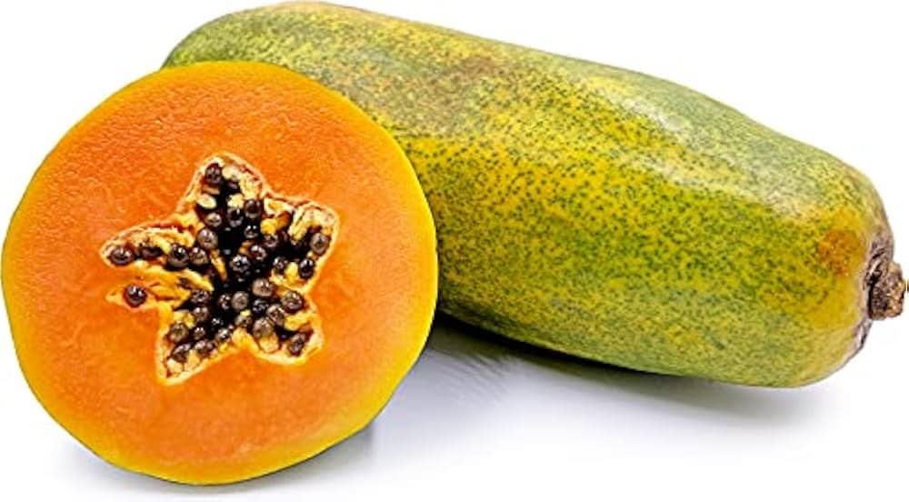 Maradol Mexican Papaya Fruit Tropical Gardeners Sweet Juicy Fruits Fruit Fruit Seeds