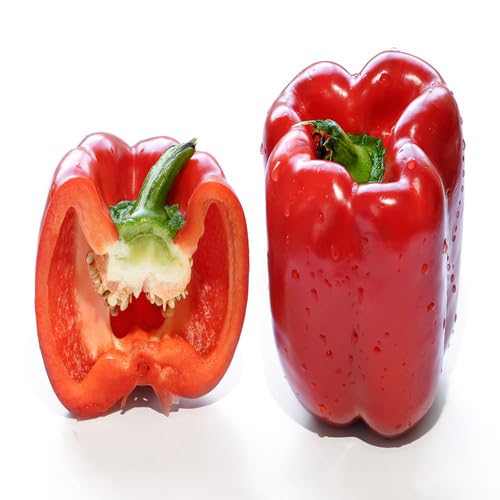 red Capsicum vegetable seeds vegetable seeds for Home Gardening, Premium Kitchen Garden Collection for kitchen garden planting