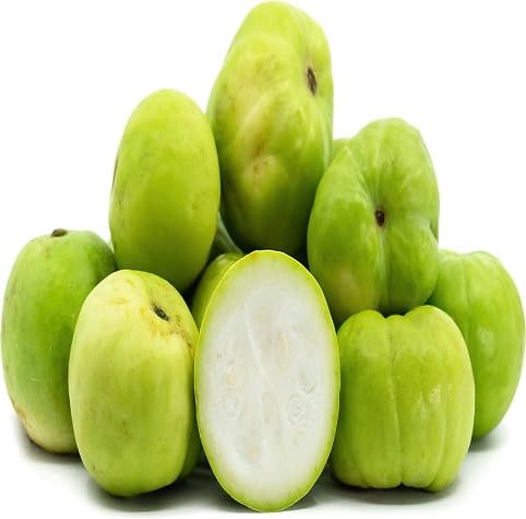Tinda vegetable seeds for Home Gardening, Fast Growing Home Garden Variety Premium for kitchen garden planting