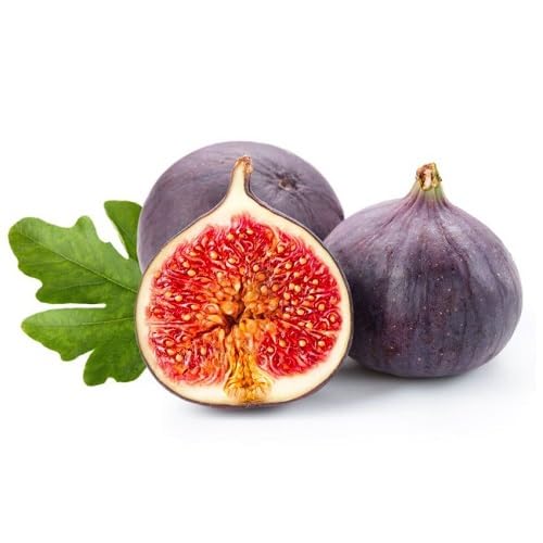 Purple Fig fruit seeds for organic garden planting
