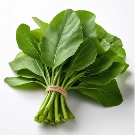 Green Mustard vegetable seeds for Home Gardening, Organic Raised Bed Garden Favorite for kitchen garden planting