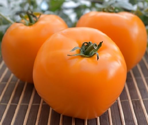 Orange Tomato vegetable seeds - Heirloom, Organic, Non Gmo Garden Seeds for kitchen garden planting