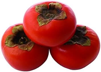 red diospyros persimmon fruit for planting grow sweet soft persimmons at home non gmo Fruit seeds
